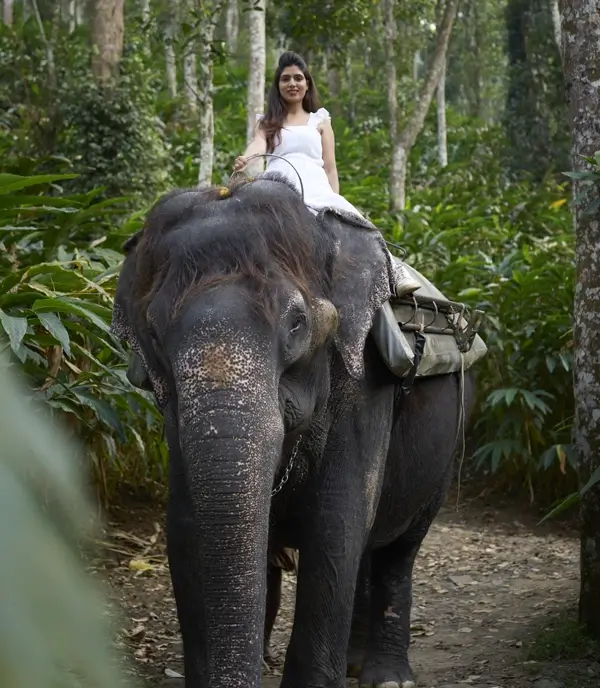 Elephant ride at Elephant Park | WGH Hotels and Resorts