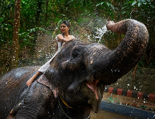 WGH Hotels & Resorts|Ayurvedic spas|Authentic local cuisine|Kerala|india